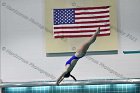 Swimming & Diving vs RWU  Swimming & Diving vs Roger Williams University. - Photo by Keith Nordstrom : Wheaton, Swimming